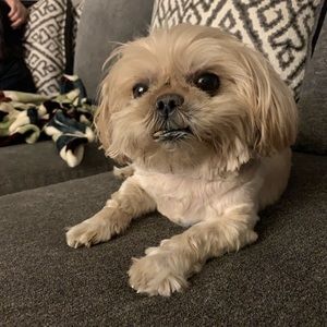 Meet your Posher, Aj